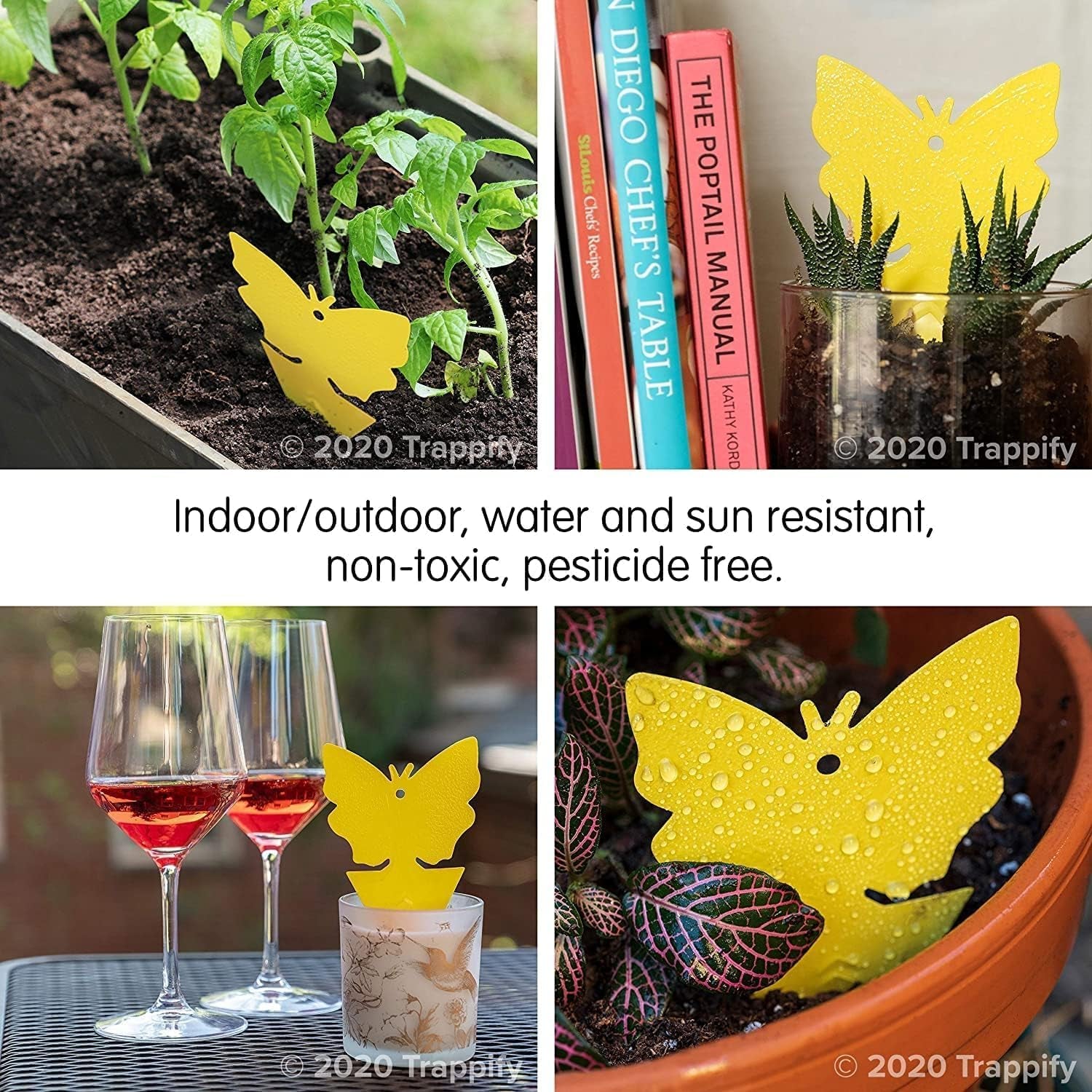 Sticky Gnat Traps for House Indoor - Yellow Fruit Fly Traps for Indoors|Outdoor Plants | Insect Catcher for White Flies, Mosquitos, Fungus Gnats | Disposable Glue Fly Trap Indoor (12 Pack)